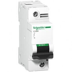 A9N18448 SCHNEIDER ELECTRIC C120H DEVRE KESİCİ 1P 125A C EĞRİSİ 3606480380198